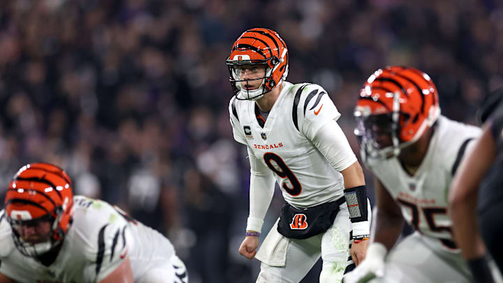 Cincinnati Bengals v Baltimore Ravens
