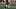 College Fantasy Football, Raleek Brown, Texas Longhorns