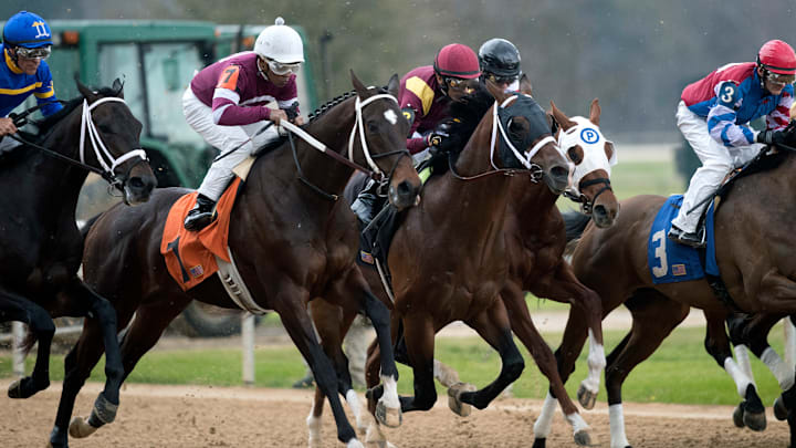 Oaklawn Horse Racing