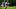 Cincinnati Bengals running back Chase Brown fantasy Cincinnati Bengals running back Chase Brown fantasy