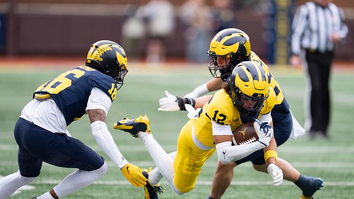 2026 Michigan Spring Football Game