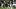 Philadelphia Eagles quarterback Jalen Hurts (1) takes the snap from center Cam Jurgens 