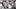 Houston Texans defensive end Will Anderson Jr. Houston Texans defensive end Will Anderson Jr.