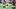 LSU Tigers wide receiver Kayshon Boutte LSU Tigers wide receiver Kayshon Boutte