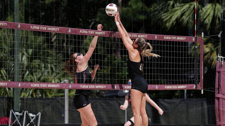 Florida State Seminoles Florida State Seminoles