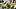 Green Bay Packers running back MarShawn Lloyd (32) fumbles the ball during the fourth quarter against the New York Jets. Green Bay Packers running back MarShawn Lloyd (32) fumbles the ball during the fourth quarter against the New York Jets.