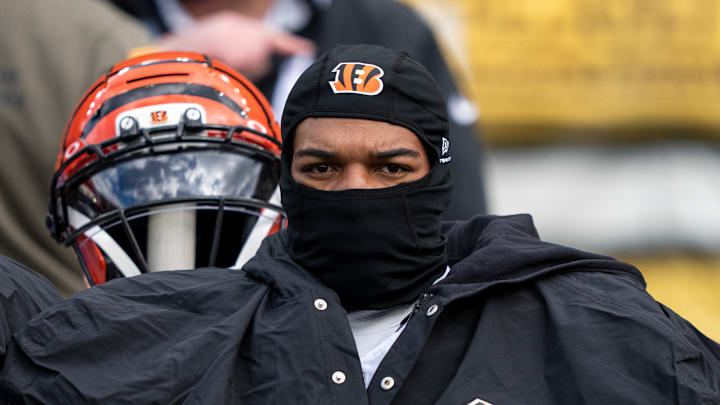 Cincinnati Bengals v Pittsburgh Steelers - NFL 2025