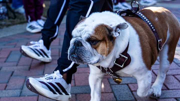 Mississippi State’s mascot “Dak” Bully the Bulldog participates in the Dawg Walk before a college football game between Mississippi State and Ole Miss at Davis Wade Stadium in Starkville, Miss., on Friday, Nov. 28, 2025. The Egg Bowl game marks the 122nd meeting between the two teams. Dak is also known as Bully XXII. Mississippi State’s mascot “Dak” Bully the Bulldog participates in the Dawg Walk before a college football game between Mississippi State and Ole Miss at Davis Wade Stadium in Starkville, Miss., on Friday, Nov. 28, 2025. The Egg Bowl game marks the 122nd meeting between the two teams. Dak is also known as Bully XXII.