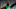 Jaylen Brown