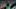Jaylen Brown - Boston Celtics