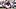 Colorado Buffaloes Football Deion Sanders Betting Market Northwestern University Wildcats Spread Moneyline Over Under