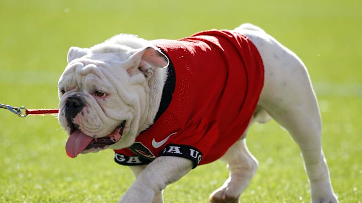 Apr 16, 2016; Athens, GA, USA; Georgia Bulldogs mascot Uga X on the field during the second half of