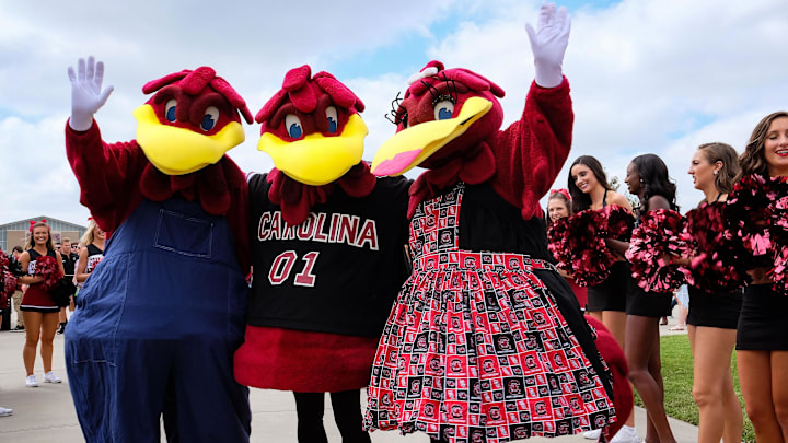 Sep 17, 2016; Columbia, SC, USA; South Carolina Gamecocks mascot "Cocky" and friends during the "Gamecock Walk" into Williams-Brice Stadium before the game against the East Carolina Pirates. Mandatory Credit: Jim Dedmon-Imagn Images Sep 17, 2016; Columbia, SC, USA; South Carolina Gamecocks mascot "Cocky" and friends during the "Gamecock Walk" into Williams-Brice Stadium before the game against the East Carolina Pirates. Mandatory Credit: Jim Dedmon-Imagn Images
