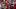 San Francisco 49ers running back Christian McCaffrey returned to the lineup in a victory over the Tampa Bay Buccaneers. San Francisco 49ers running back Christian McCaffrey returned to the lineup in a victory over the Tampa Bay Buccaneers.