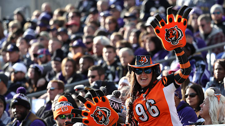 Cincinnati Bengals v Baltimore Ravens