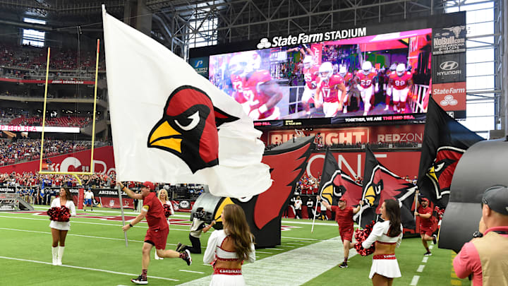 Minnesota Vikings v Arizona Cardinals