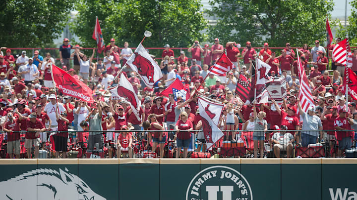 Jun 8, 2019; Fayetteville, AR, USA; Arkansas Razorbacks fans cheer in left field after a home run by Arkansas Razorbacks designated hitter Matt Goodheart during the game agaisnt Mississippi Rebels at Baum-Walker Stadium. Mandatory Credit: Brett Rojo-USA TODAY Sports