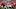 Georgia Bulldogs quarterback Bryson Beaver Oregon Ducks Spring Game Big Ten SEC Football Sanford Stadium Georgia Bulldogs quarterback Bryson Beaver Oregon Ducks Spring Game Big Ten SEC Football Sanford Stadium