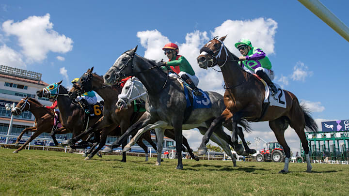 Gulfstream Race Park