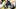 Pittsburgh Steelers running back Lew Nichols Pittsburgh Steelers running back Lew Nichols