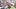 New York Giants tight end Isaiah Likely New York Giants tight end Isaiah Likely