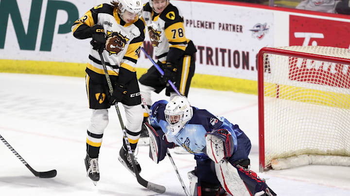 Hamilton Bulldogs v Windsor Spitfires