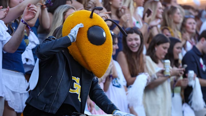 Oct 11, 2025; Atlanta, Georgia, USA; Georgia Tech Yellow Jackets mascot Buzz in the stands against the Virginia Tech Hokies in the fourth quarter at Bobby Dodd Stadium at Hyundai Field. Mandatory Credit: Brett Davis-Imagn Images
