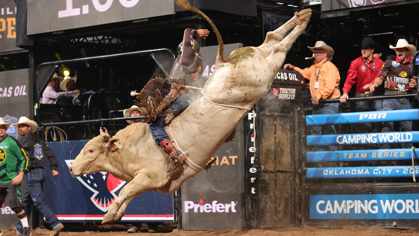 The Bull That Made Them Better: Man Hater’s Legacy