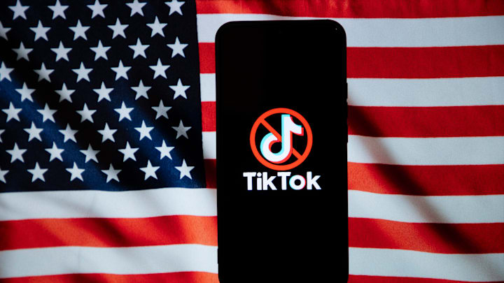 TikTok and many other apps went dark in the United States due to legislation banning them for security concerns.
