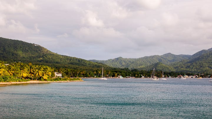 View of beach with coconut palms and the village of Cabrits...