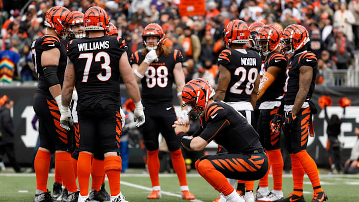 Baltimore Ravens v Cincinnati Bengals