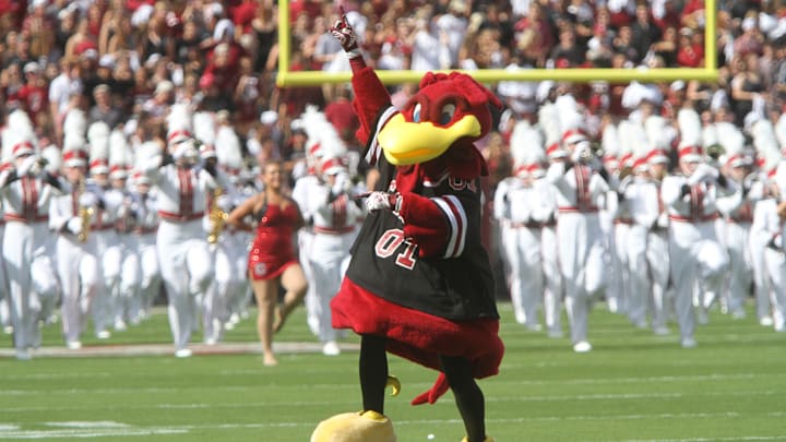 South Carolina football mascot Cocky