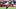 Denver Broncos quarterback Bo Nix Denver Broncos quarterback Bo Nix