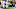 Washington quarterback Demon Williams Jr. attempts a pass during an October 18 game against Michigan. Washington quarterback Demon Williams Jr. attempts a pass during an October 18 game against Michigan.