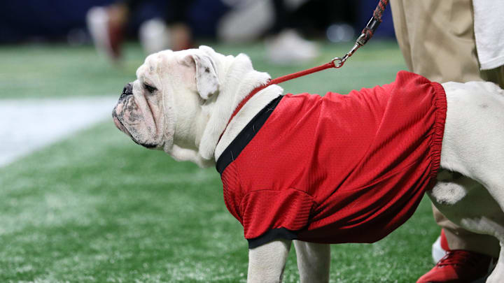Dec 2, 2023; Atlanta, GA, USA; Georgia Bulldogs mascot Uga looks on in the second quarter against the Alabama Crimson Tide at Mercedes-Benz Stadium. Mandatory Credit: Jordan Godfree-Imagn Images Dec 2, 2023; Atlanta, GA, USA; Georgia Bulldogs mascot Uga looks on in the second quarter against the Alabama Crimson Tide at Mercedes-Benz Stadium. Mandatory Credit: Jordan Godfree-Imagn Images
