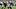 Colorado Buffaloes Football Texas Tech Red Raiders Julian Lewis Isaac Wilson Quarterbacks Record X