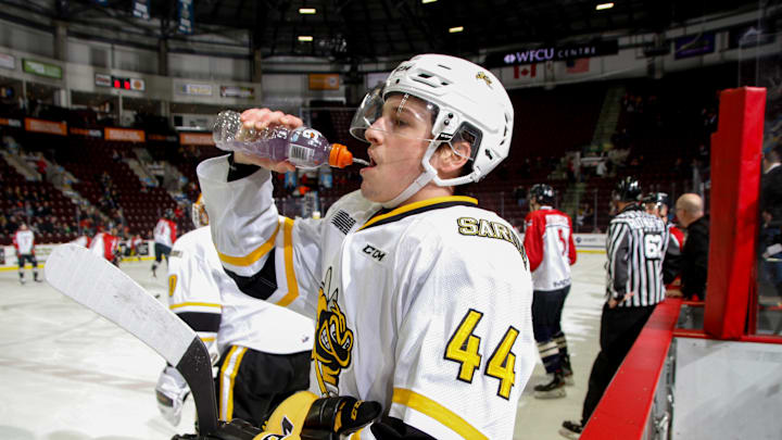 Sarnia Sting v Windsor Spitfires