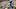 Dontayvion Wicks, Philadelphia Eagles, 2026 Fantasy Footbal Dontayvion Wicks, Philadelphia Eagles, 2026 Fantasy Footbal