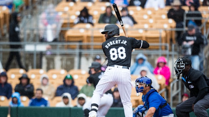 Chicago Cubs v Chicago White Sox