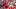 Cincinnati Reds Sal Stewart Rhett Lowder MLB NL Central Milwaukee Brewers Spencer Steer Elly De La Cruz 