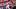St. Louis Cardinals second baseman JJ Wetherholts St. Louis Cardinals second baseman JJ Wetherholts