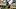 Pittsburgh Steelers quarterback Aaron Rodgers Pittsburgh Steelers quarterback Aaron Rodgers