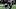 Saints quarterback Spencer Rattler Saints quarterback Spencer Rattler