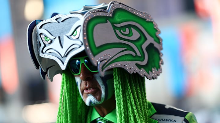 Seattle Seahawks fan