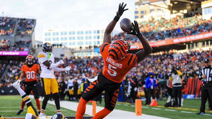 Dec 1, 2024; Cincinnati, Ohio, USA; Cincinnati Bengals wide receiver Tee Higgins (5) attempts to catch a pass against  Pittsburgh Steelers cornerback Cameron Sutton (20) in the second half at Paycor Stadium. 