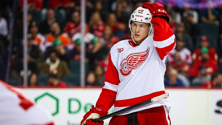 Detroit Red Wings right wing Michael Brandsegg-Nygard Mandatory Credit: Sergei Belski-Imagn Images Detroit Red Wings right wing Michael Brandsegg-Nygard Mandatory Credit: Sergei Belski-Imagn Images