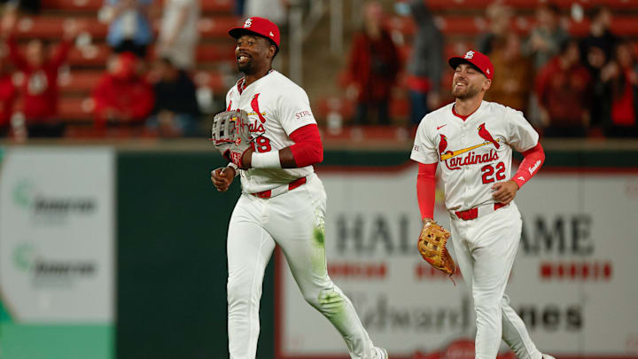 Houston Astros v St. Louis Cardinals