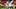 oregon ducks northwestern wildcats injury reports messiah hampton dan lanning ryan braun wide receiver evan stewart oregon ducks northwestern wildcats injury reports messiah hampton dan lanning ryan braun wide receiver evan stewart