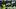 Fantasy Football, Packers Defense, Green Bay Packers
