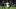 Thiago Motta, Lionel Messi, Edinson Cavani Thiago Motta, Lionel Messi, Edinson Cavani